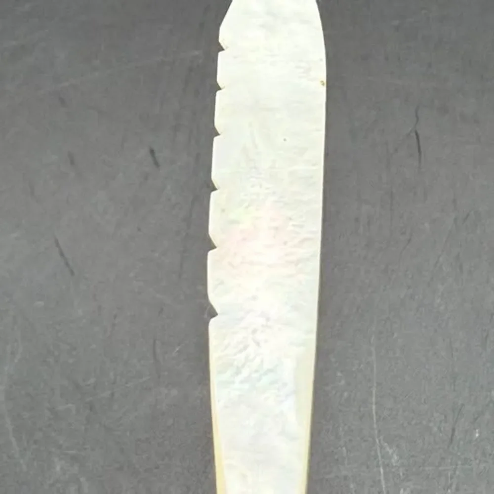 ANTIQUE 19TH CENTURY MOTHER OF PEARL DETAILED FEATHER VICTORIAN ERA QUILL PEN